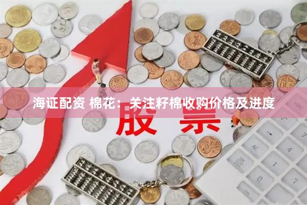 海证配资 棉花：关注籽棉收购价格及进度
