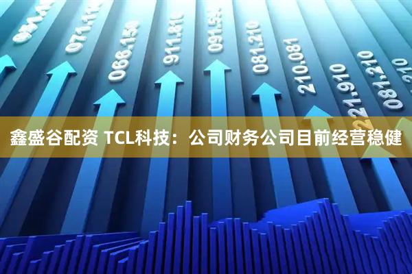 鑫盛谷配资 TCL科技：公司财务公司目前经营稳健